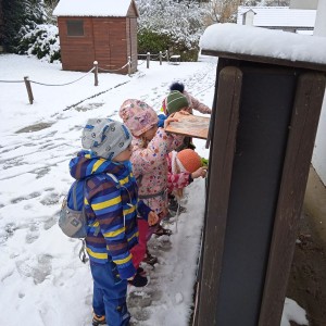 Svišti v ZOO Vyškov